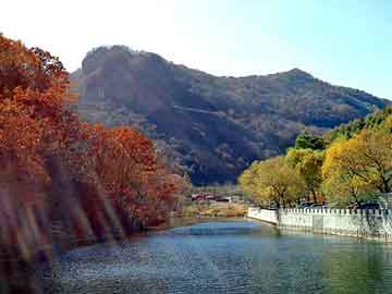 新澳天天开奖资料大全旅游团，修真小说完结